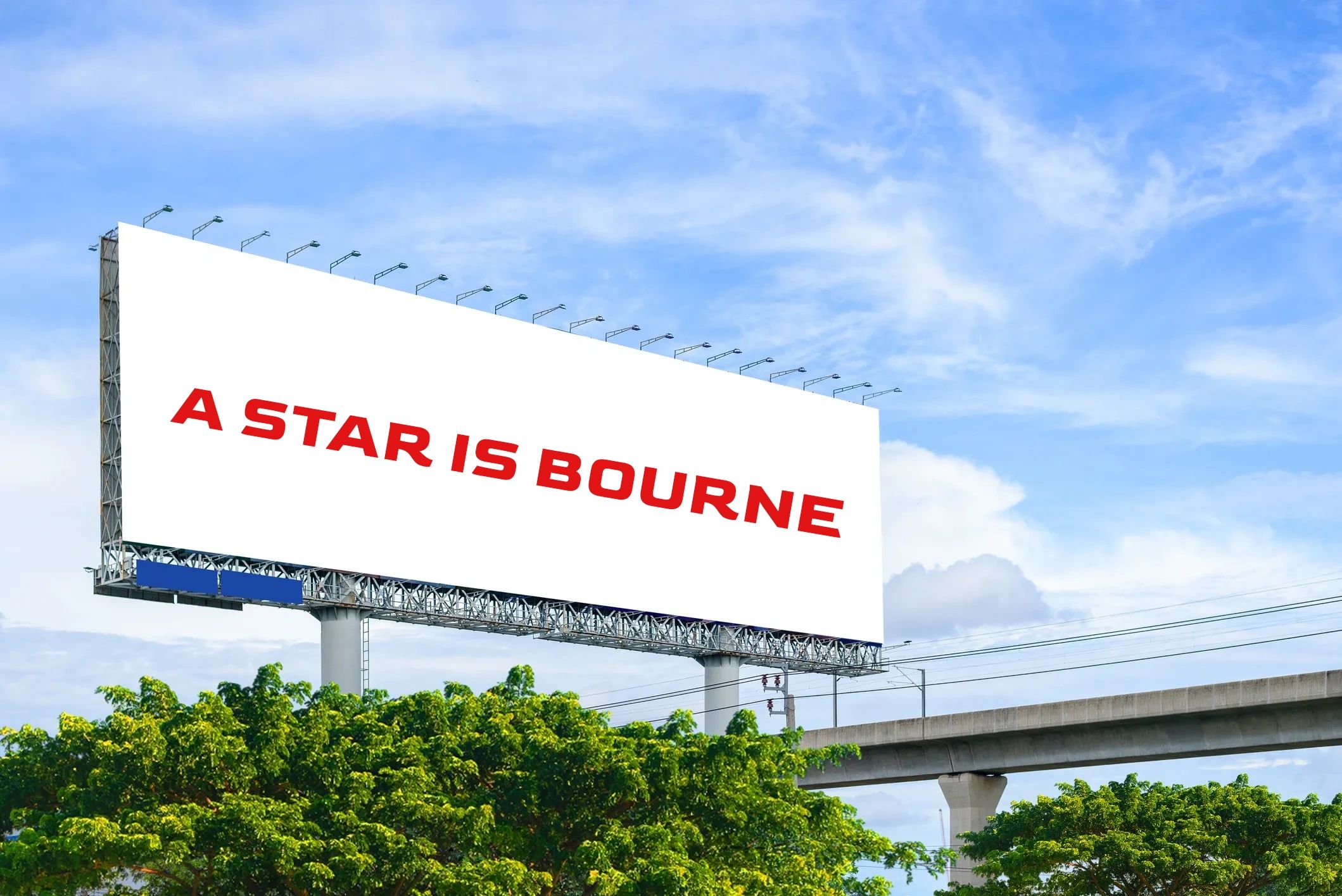 Billboard Campaign